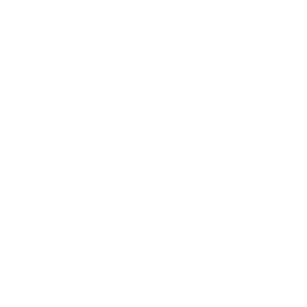 Prancheta 13